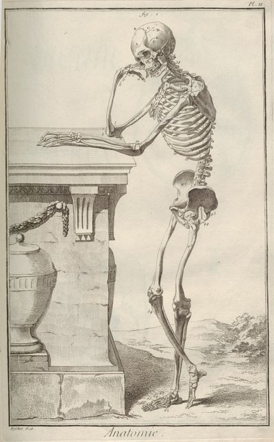Anatomi. Fra Encyclopédie af Denis Diderot og Jean Le Rond dAlembert, 1751-1765. af Unbekannt