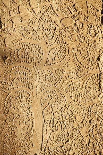 Angkor Wat, udskåret detalje på WallTree, Siem Reap, Cambodia af Unbekannt