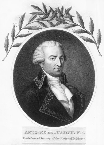 Antoine de Jussieu, fransk botaniker fra det 18. århundrede, 1807 af Unbekannt