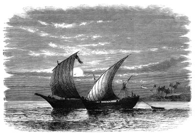 Arabiske dhows på Det Røde Hav, c1890 af Unbekannt
