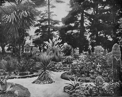 Arizona Have. Monterey, Cal., c1897. af Unbekannt