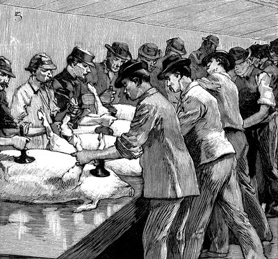 Armour Companys svineslagteri, Chicago, Illinois, USA, 1892 af Unbekannt