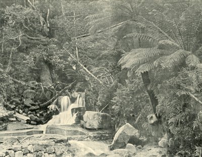 Ved St. Crispins Well, 1901. af Unbekannt