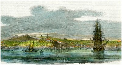 Auckland, New Zealand, c1880 af Unbekannt