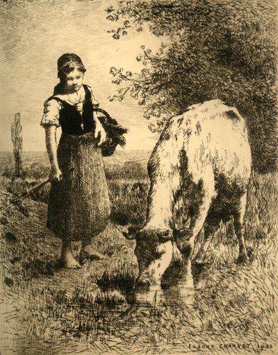 På markerne, 1903. af Unbekannt