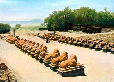 Avenue af ramhovedede sfinkser, tempel Amun-Re, Karnak, Luxor, Egypten, 20. århundrede af Unbekannt