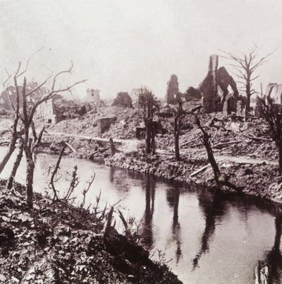 Banks of the Yser, Belgien, c1914-c1918 af Unbekannt