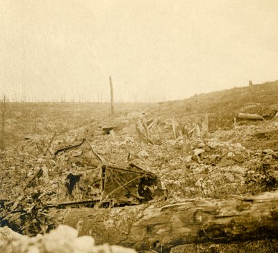 Battlefield, Bezonvaux, Verdun, Nordfrankrig, c1914-c1918 af Unbekannt