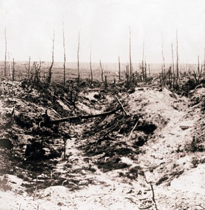 Battlefield, c1914-c1918 af Unbekannt