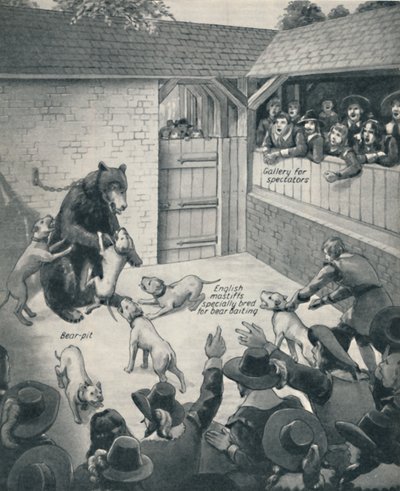 Bear-baiting in a Stuart Bear Pit, c1934 af Unbekannt