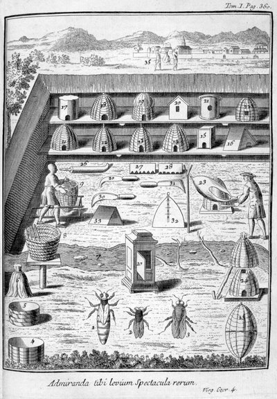 Biavlen, 1775 af Unbekannt