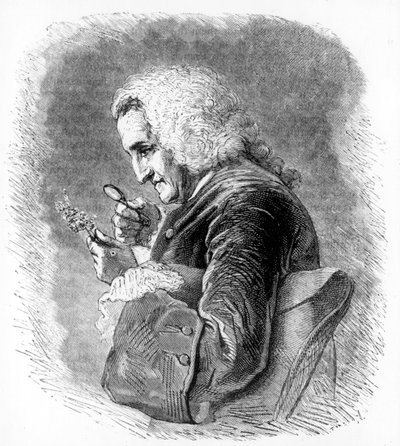 Bernard de Jussieu, fransk botaniker fra det 18. århundrede, 1880 af Unbekannt