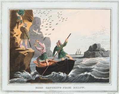 Fuglefangst nedefra, Shetlandsøerne, 1813 af Unbekannt