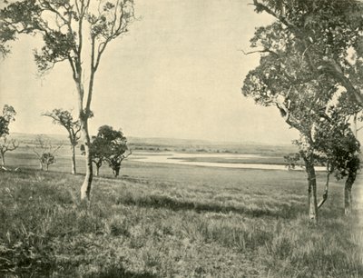 Black Swan Lagoon, nær Warwick, Queensland, 1901. af Unbekannt
