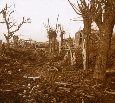 Sprængt landskab, Belloy-en-Santerre, Nordfrankrig, c1914-c1918 af Unbekannt