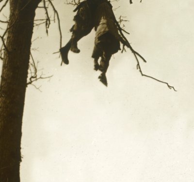 Lig i træ, Bois dAvocourt, Verdun, Nordfrankrig, c1914-c1918. af Unbekannt