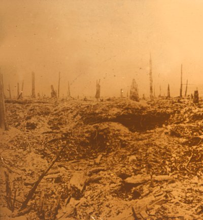 Bois du Chapitre, Vaux, Nordfrankrig, c1914-c1918 af Unbekannt