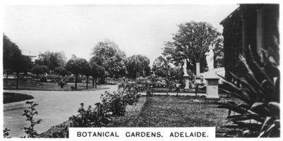 Botanisk have, Adelaide, Australien, 1928 af Unbekannt