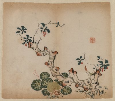 Forgreningsstub, 1368-1644. af Unbekannt