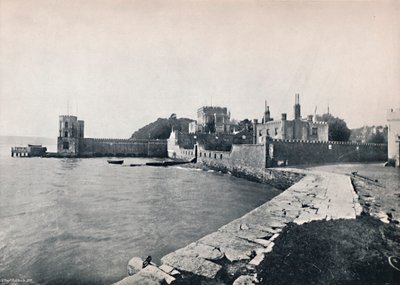 Branksea Island - Almindelig udsigt over slottet, 1895 af Unbekannt