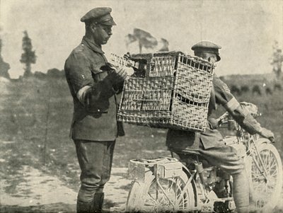 British Army Carrier Pigeons i Frankrig, 1919. af Unbekannt