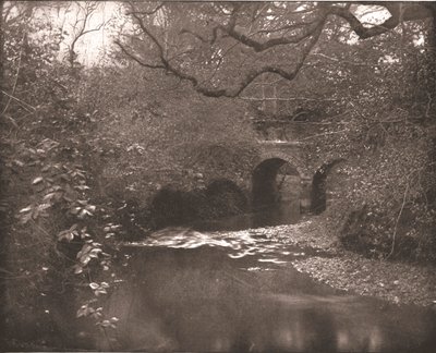 Bæk og bro i New Forest, Hampshire, 1894. af Unbekannt