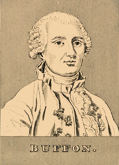 Buffon, 1707-1788, 1830. af Unbekannt