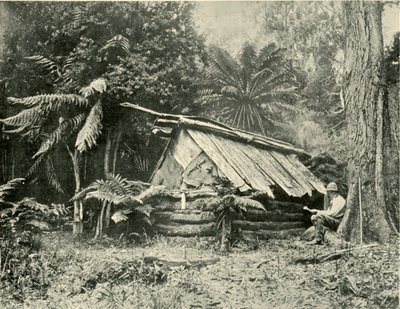 Bush Hut, Dandenong Ranges, Victoria, 1901. af Unbekannt