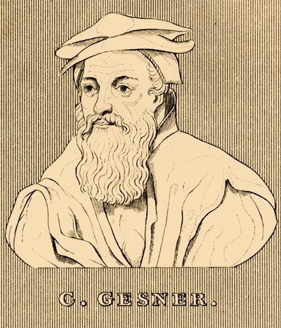 C. Gesner, 1516-1565, 1830 af Unbekannt