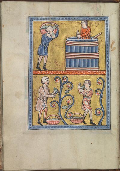 Kalender, september, mænd, der plukker og træder druer - Psalter af Eleanor fra Aquitaine (ca. 1185) - KB 76 F 13, folium 009v af Unbekannt