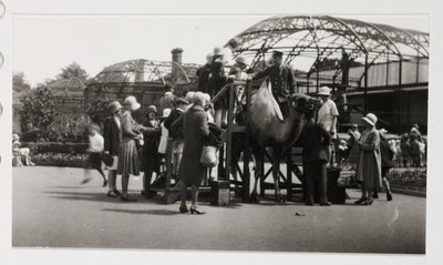 Kameltur, ca 1930 af Unbekannt