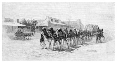 Kamelhold, Wilcannia, New South Wales, Australien, 1886 af Unbekannt