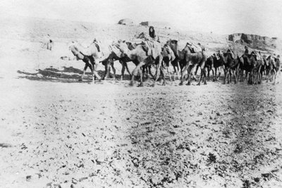 Kameltog, Mosul, Mesopotamien, 1918 af Unbekannt