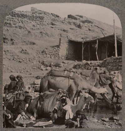 Kameltog fra Jerash, vanding ved Elisha-fontænen, ca. 1900 af Unbekannt