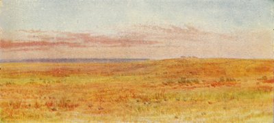 Canadian Prairie, 1924 af Unbekannt