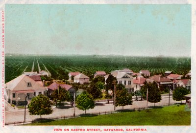 Castro Street, Hayward, Californien, 1905 af Unbekannt
