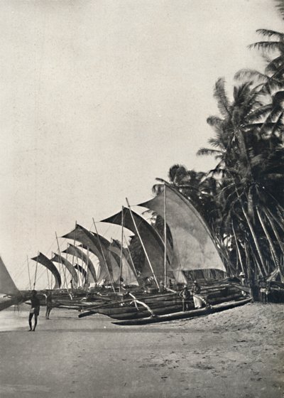 Ceylonesiske udrigger havfiskerbåde, 1926 af Unbekannt