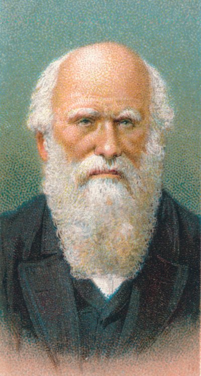 Charles Darwin 1809-1882, britisk naturforsker, 1924 af Unbekannt