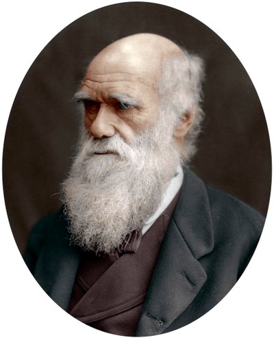 Charles Darwin, britisk naturforsker, 1878 af Unbekannt