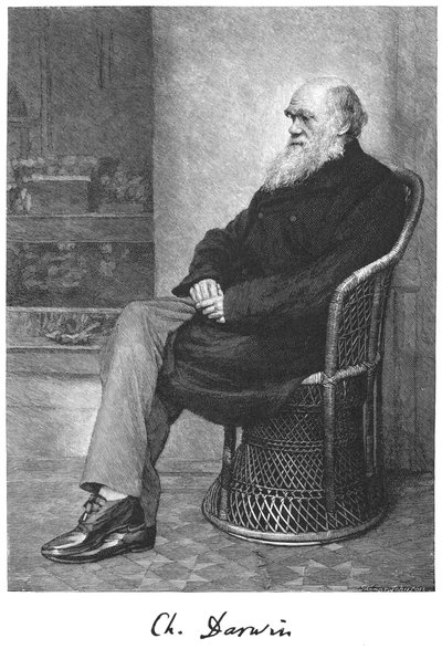 Charles Darwin, engelsk naturforsker, 1883 af Unbekannt