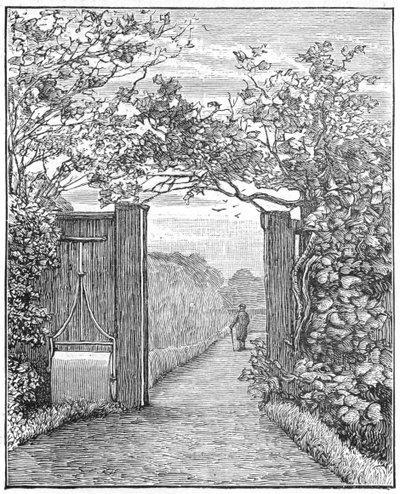 Charles Darwin i sandet gåtur ved Down House, c1870 1887 af Unbekannt