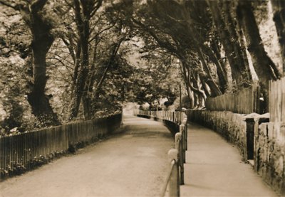 Chine Avenue, Shanklin, I.W., c1920. af Unbekannt
