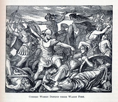 Cimbric kvinder forsvarer deres vognfort, 1882 af Unbekannt