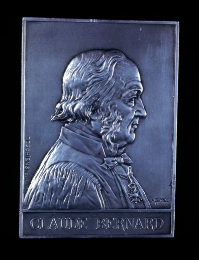 Claude Bernard, fransk fysiolog fra det 19. århundrede, 1913 af Unbekannt