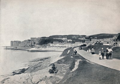 Clevedon - The Green Beach, 1895 af Unbekannt
