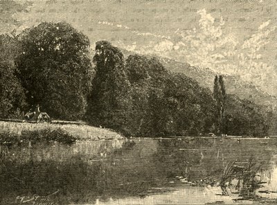 Cliefden Woods, 1898. af Unbekannt