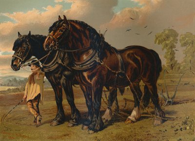 Clydesdale Stallion & Mare, c1879. af Unbekannt