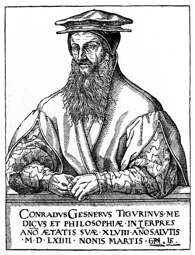 Conrad Gessner, schweizisk naturforsker, 1887 af Unbekannt