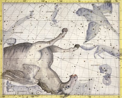 Konstellationen Pegasus, 1729 af Unbekannt