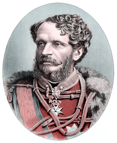 Greve Julius Andrassy 1823-1890, ungarsk statsmand, c1880 af Unbekannt